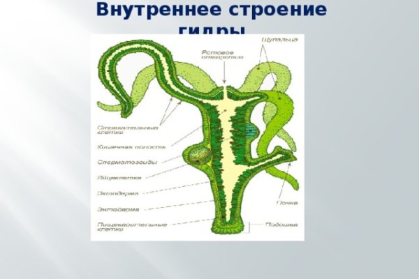 Kraken даркнет рынок ссылка