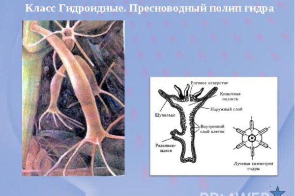 Список сайтов даркнета